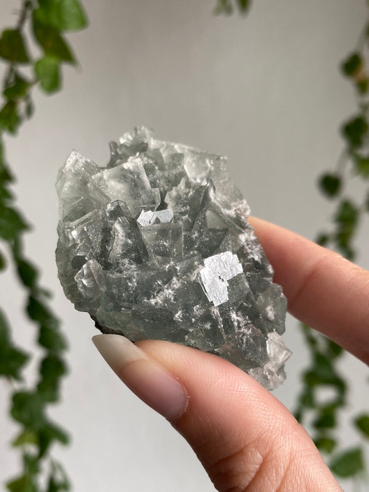 High Quality Fluorite Specimen H