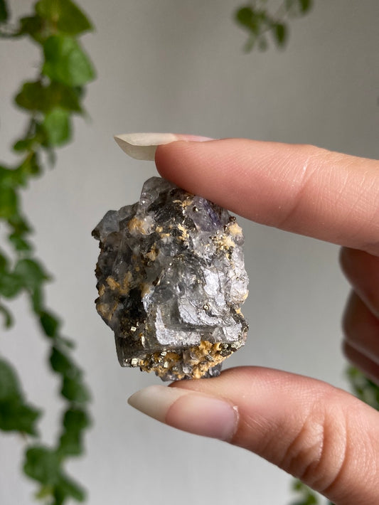 Fluorite With Pyrite Specimen