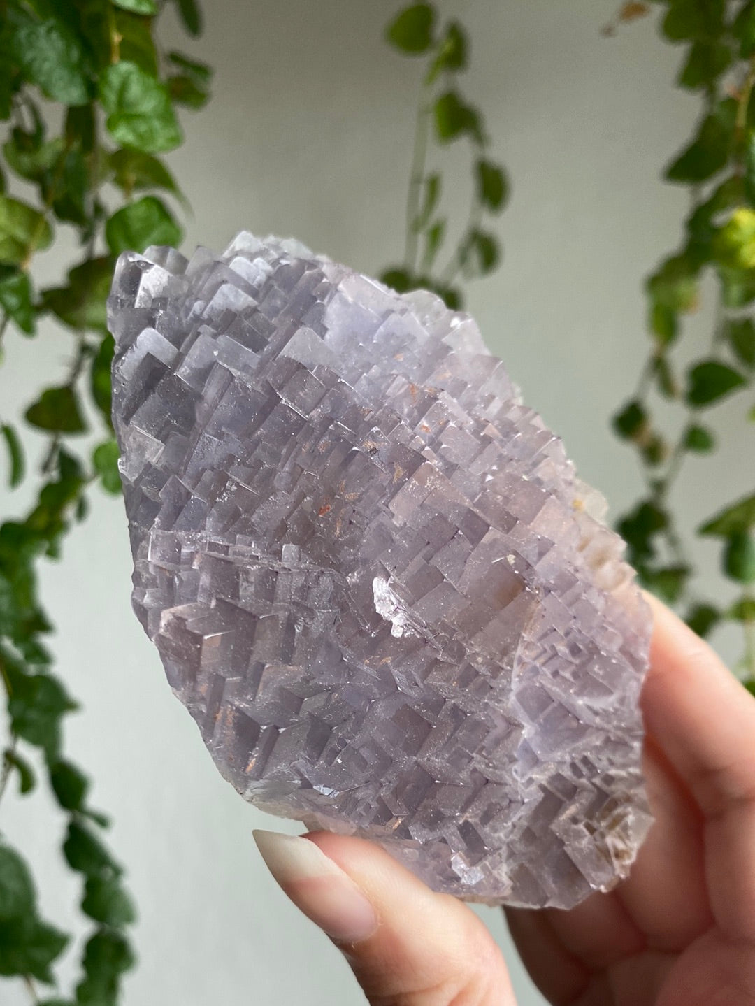 Unique Statement Cubic Fluorite