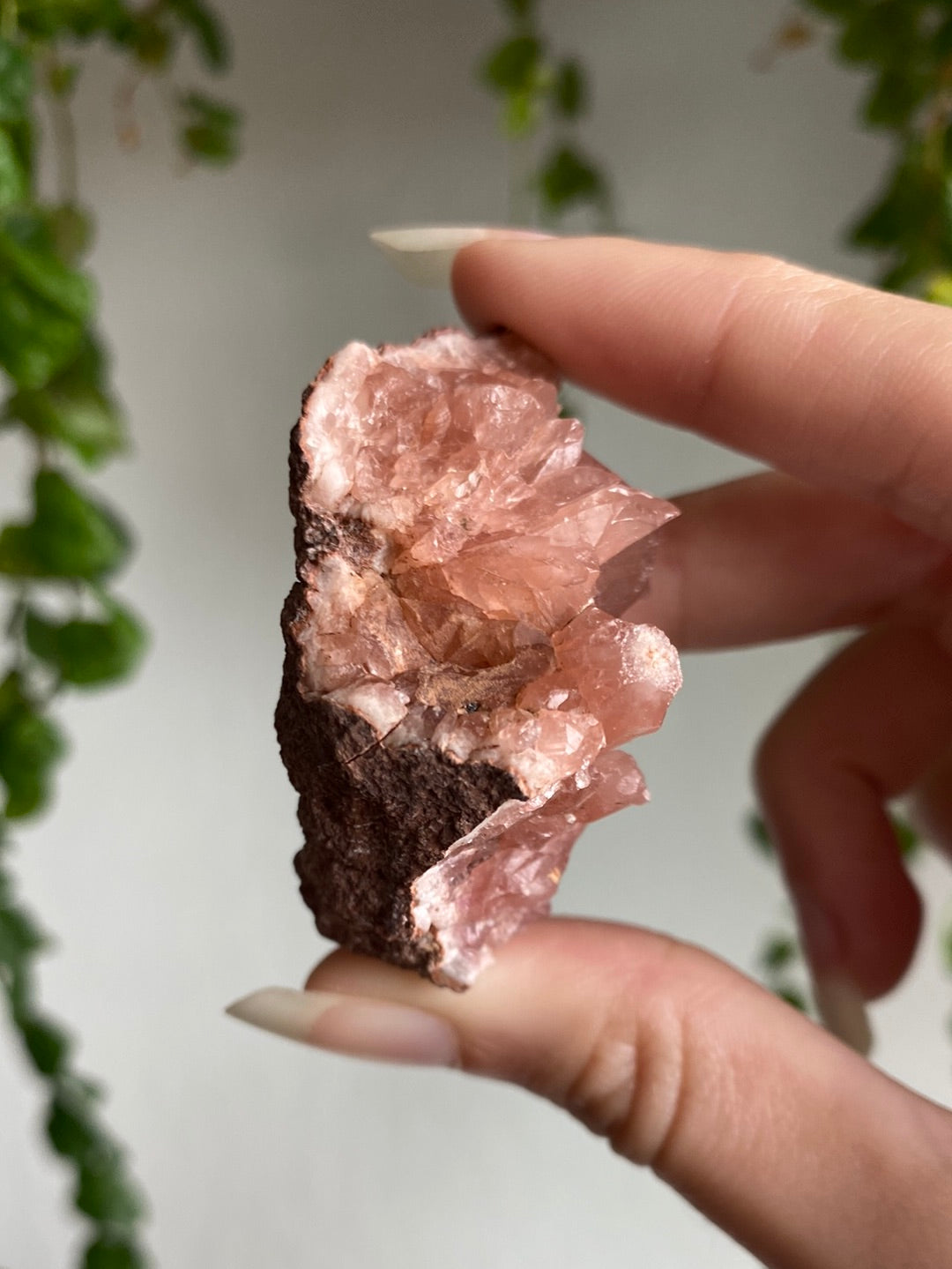 Gemmy Pink Amethyst Geode