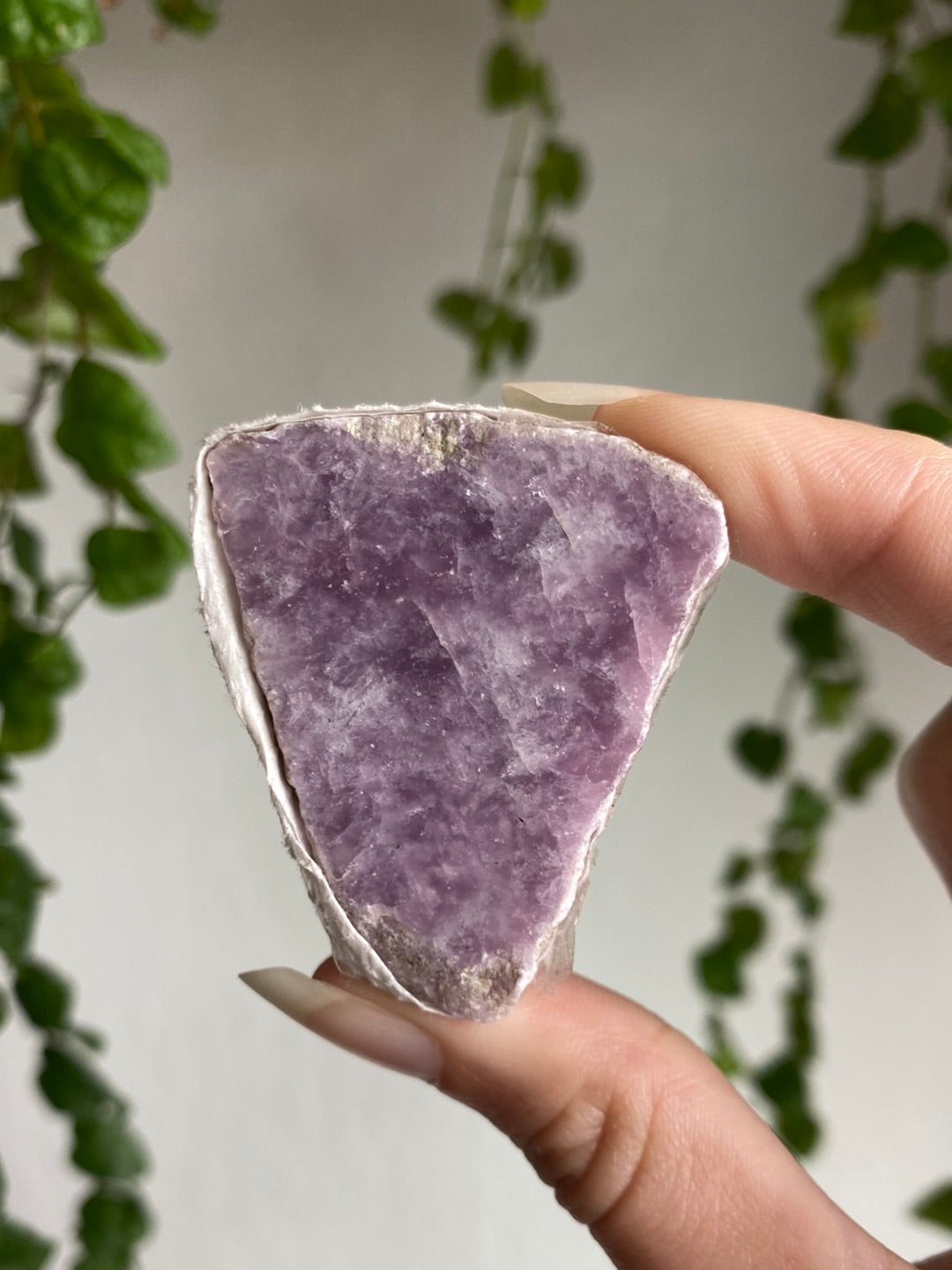 Lepidolite Slab | You Pick