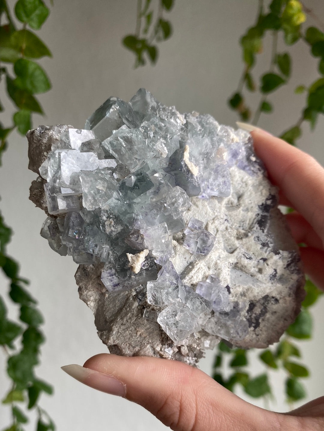 Statement Rare Grey Fluorite On Blue Cubic Fluorite Specimen