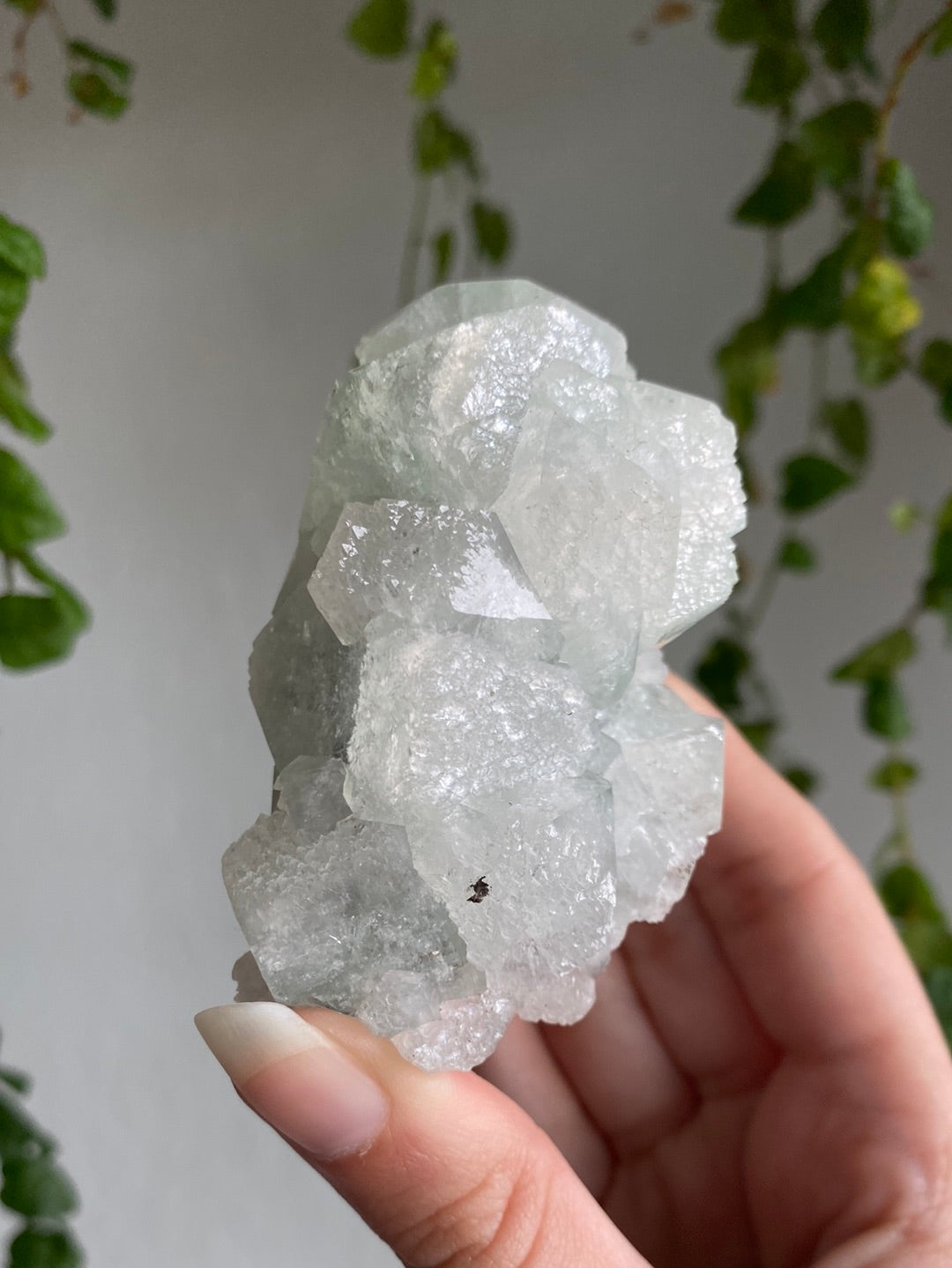 High Quality Apophyllite Specimen