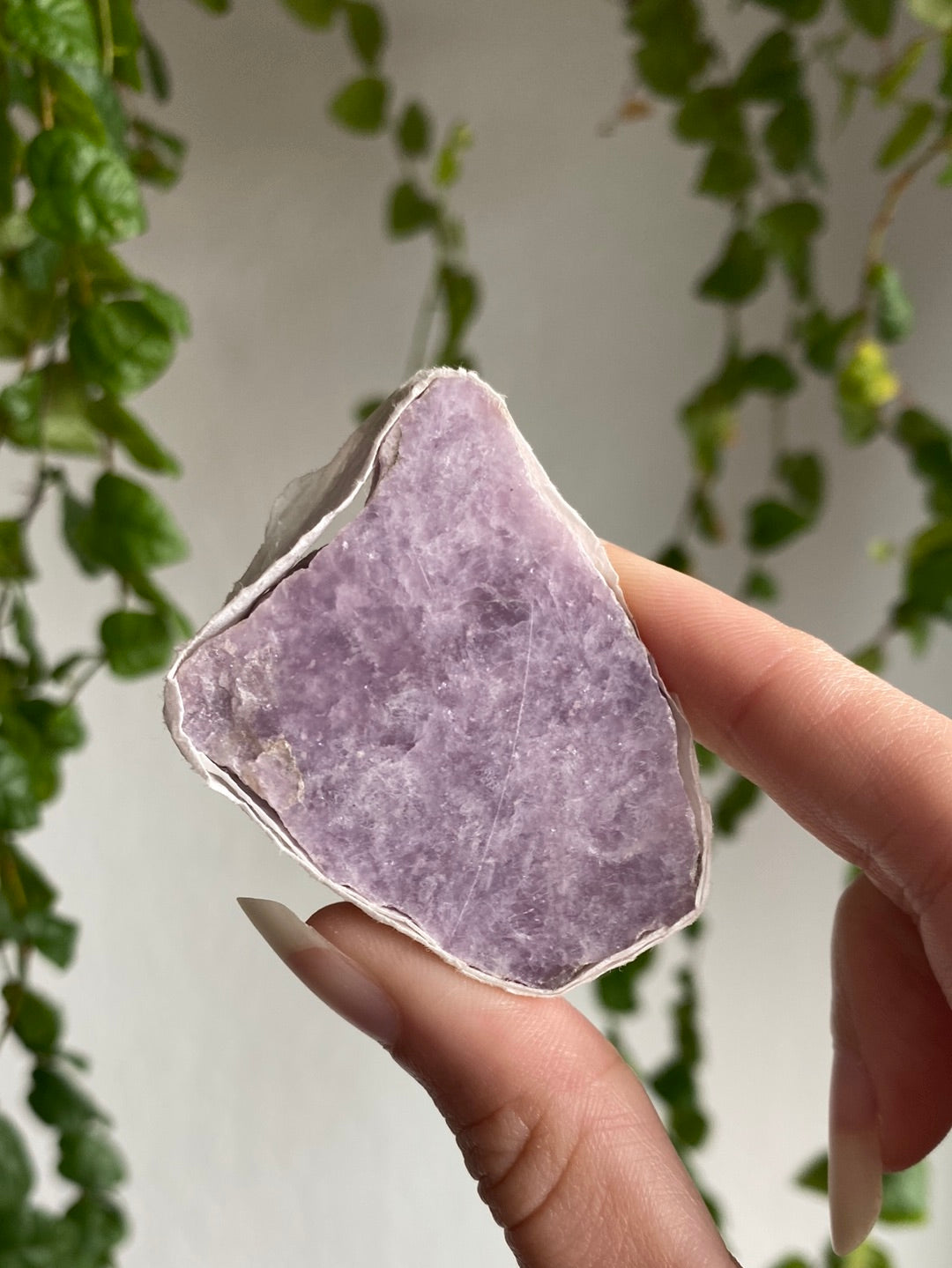 Lepidolite Slab | You Pick