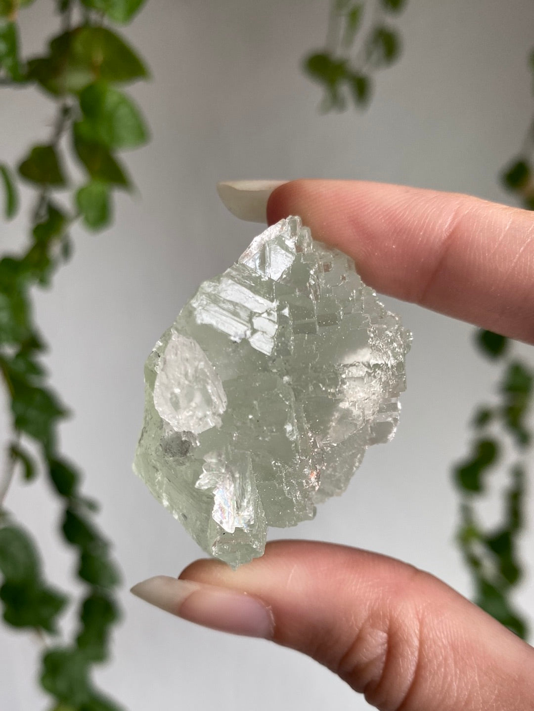 Green Cubic Fluorite B