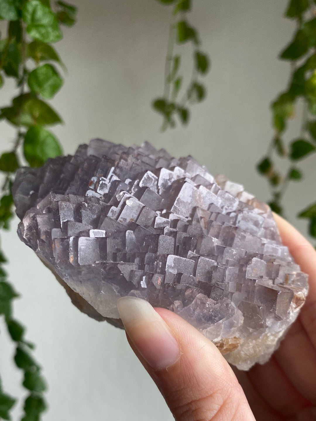 Unique Statement Cubic Fluorite