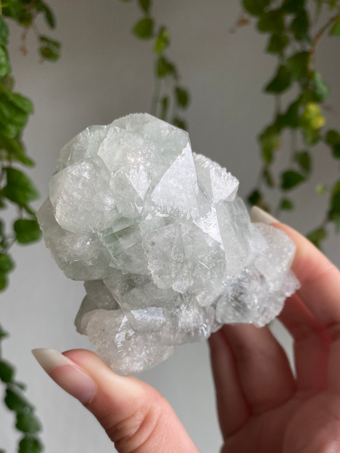 High Quality Apophyllite Specimen