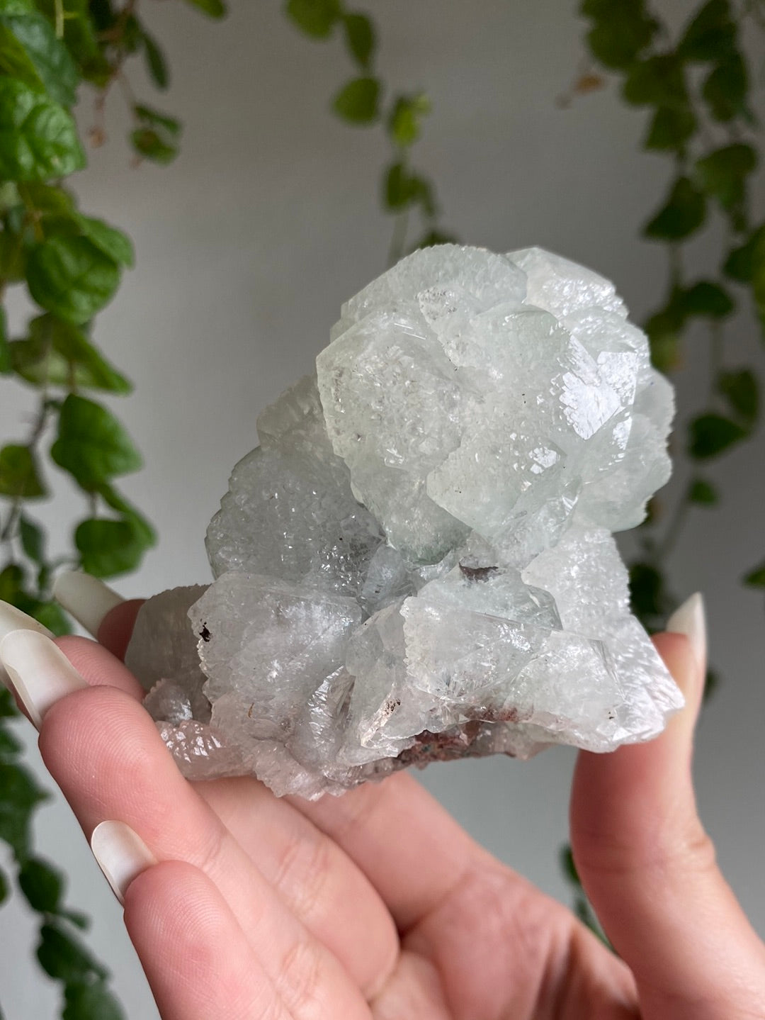 High Quality Apophyllite Specimen