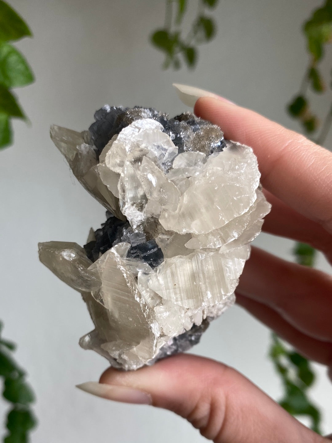 Rare Calcite On Fluorite And Black Chalcedony