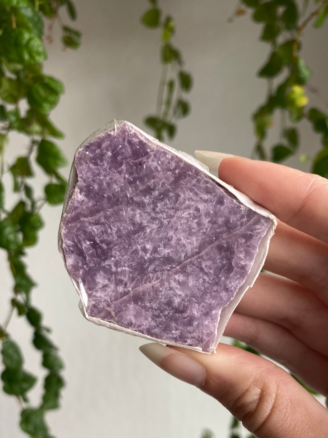 Lepidolite Slab | You Pick