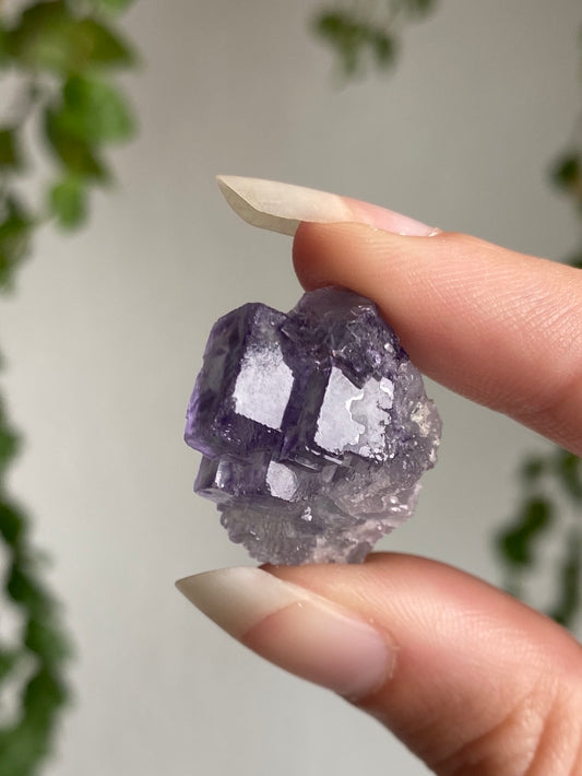 High Quality Fluorite Specimen G