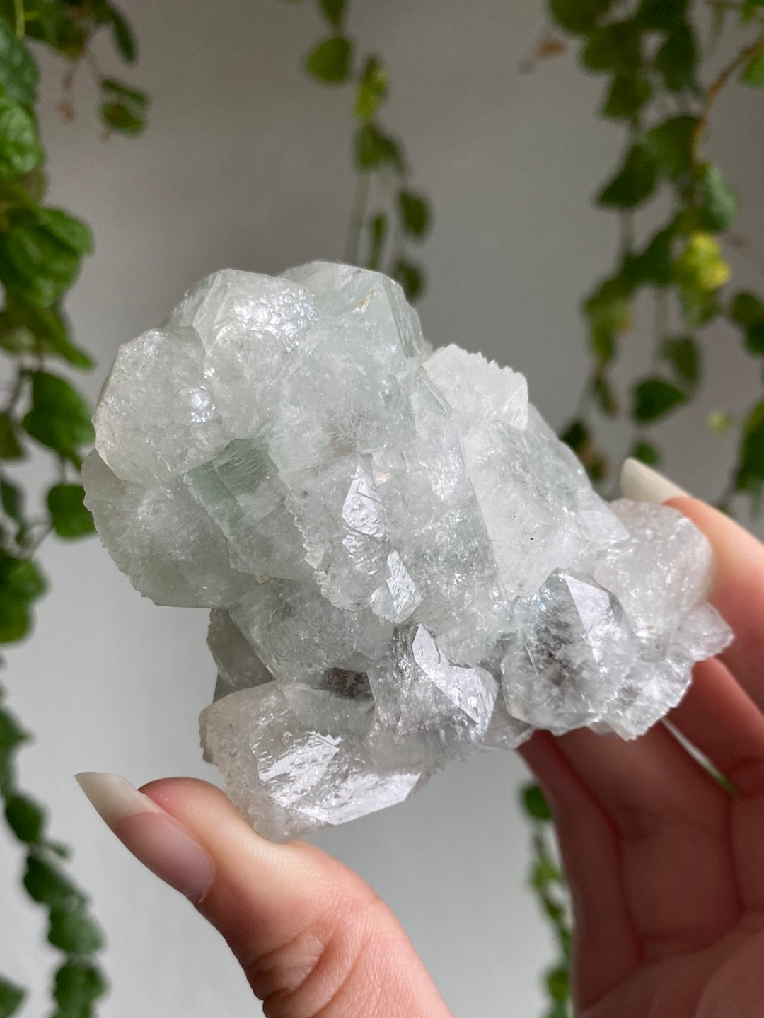 High Quality Apophyllite Specimen