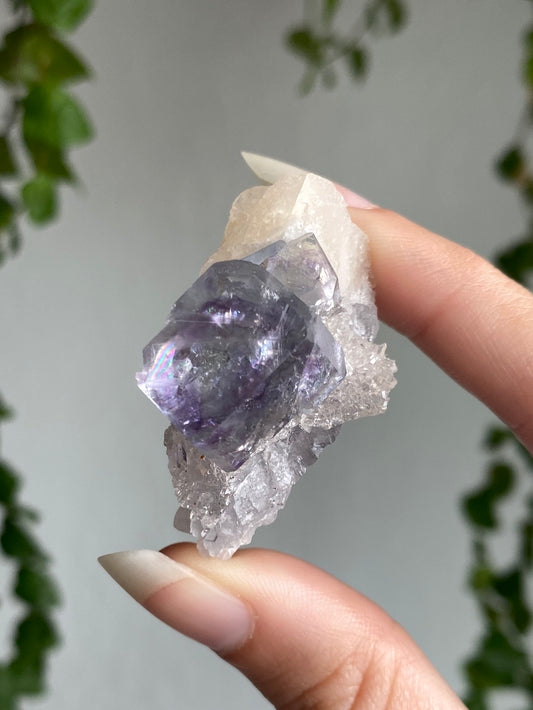 Cubic Fluorite & Calcite & Chalcedony Specimen